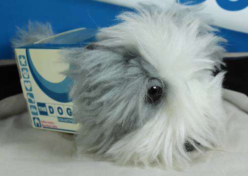 THE DOG ARTIST COLLECTION WITH MAGAZINE-BEARDED COLLIE#56 (ABSOLUTELY ADORABLE) BID NOW!