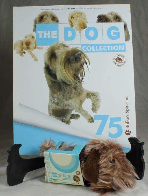 The dog artist collection with magazine - Italian Spinone #75