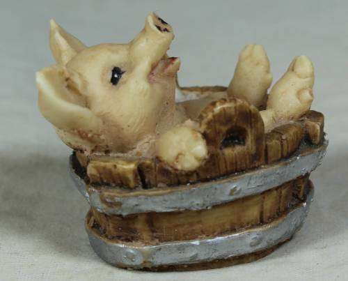 Miniature piggy in a barrel