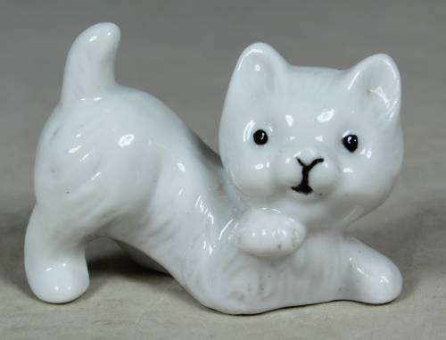 Miniature white kitten playing
