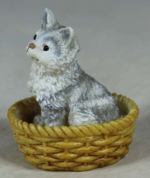 Miniature kitten in a basket