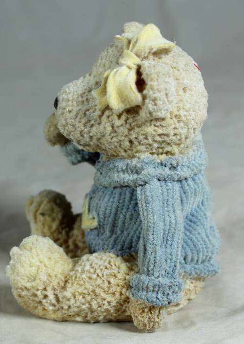 Girl bear wearing a blue jersey