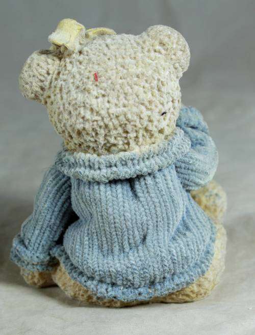 Girl bear wearing a blue jersey