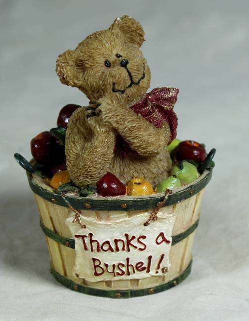 Newton - bear in fruit basket