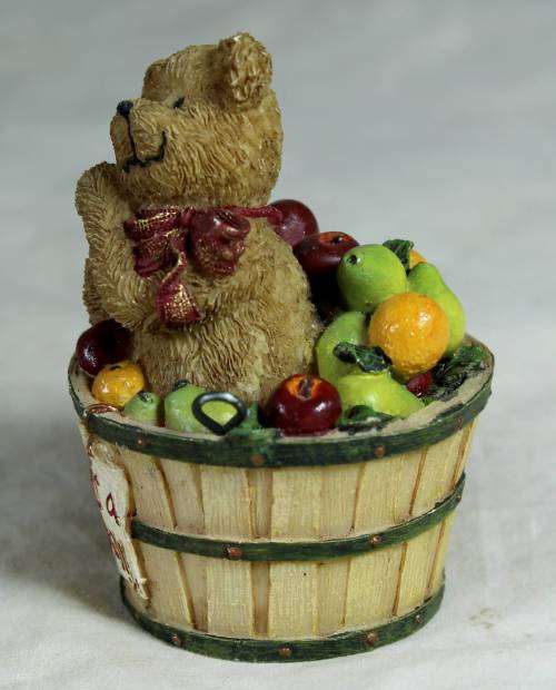 Newton - bear in fruit basket