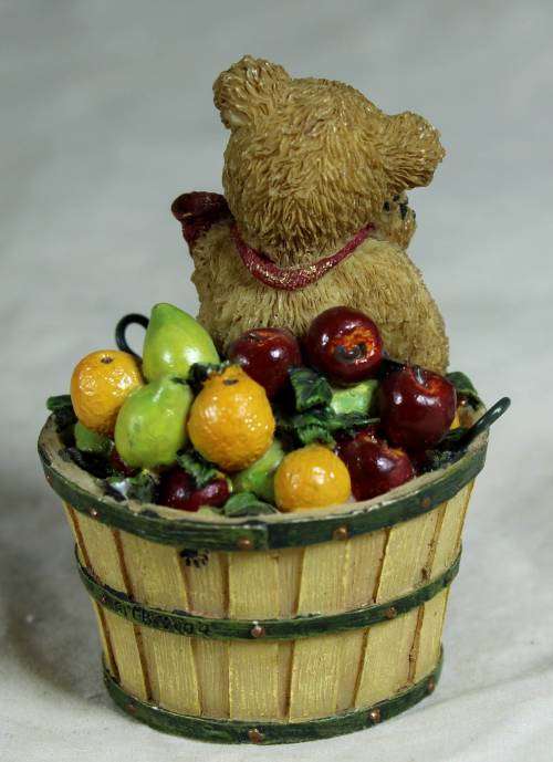 Newton - bear in fruit basket