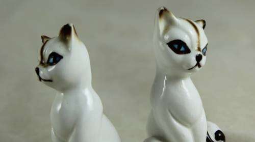 Porcelain cat salt & pepper set