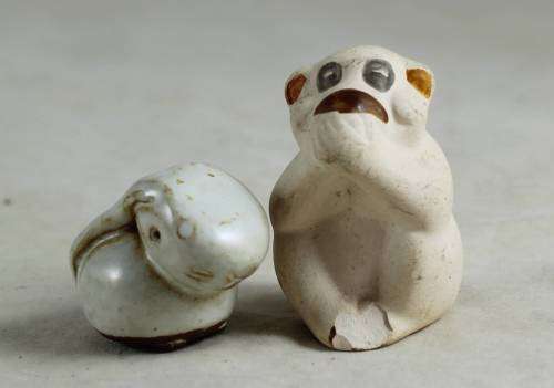 miniature monkey and a rabbit
