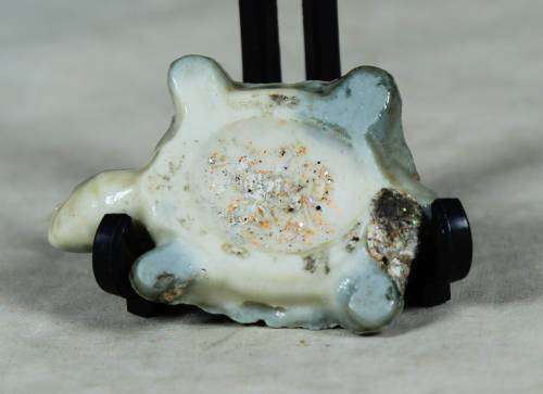 Wade Turtle made in England