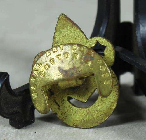 Boy Scouts hat pin