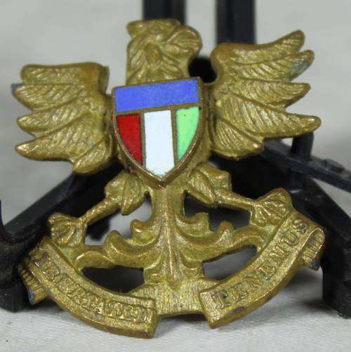 Regiment North Natal cap badge