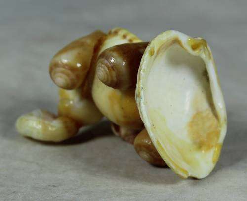 Elephant made of shells