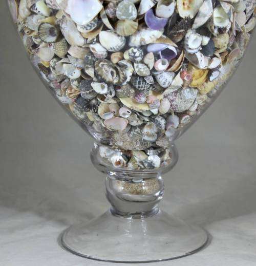 Large lidded vase with shells
