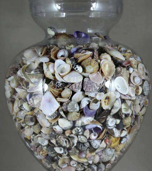 Large lidded vase with shells