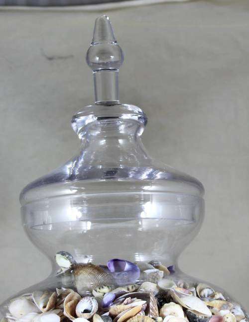 Large lidded vase with shells
