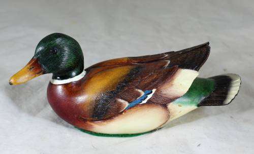 Feathers of Knysna Colorful Duck - Act fast and bid now!!!