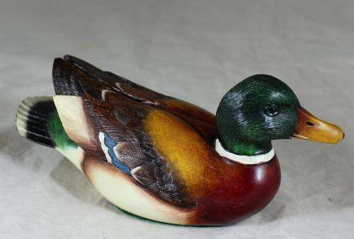 Feathers of Knysna Colorful Duck - Act fast and bid now!!!