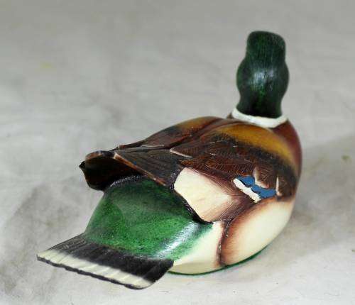 Feathers of Knysna Colorful Duck - Act fast and bid now!!!
