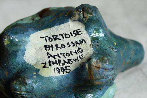 Rossam Antonio ( Zimbabwe) - small tortoise