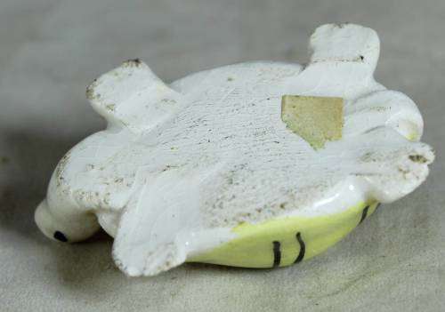 Miniature yellow tortoise