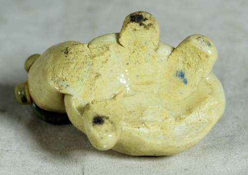 Miniature beady eyed tortoise