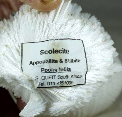 Piece of Scolecite - appophilite & stilbite with shell