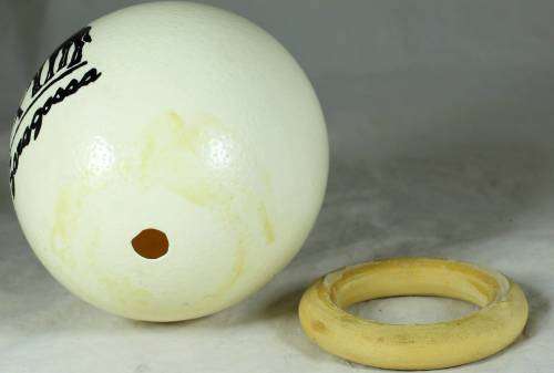 Lodge Soragossa ostrich egg