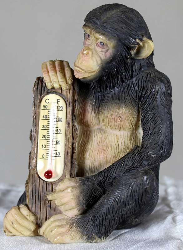 Monkey thermometer