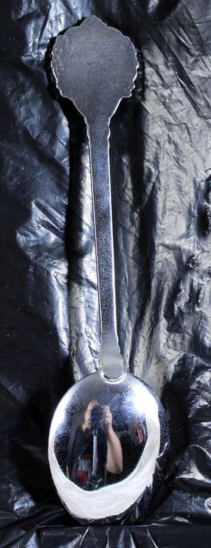 Souvenir spoon - PE Oceanarium