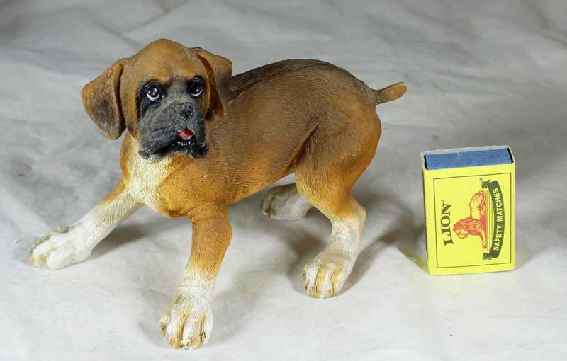 Molded boxer puppy