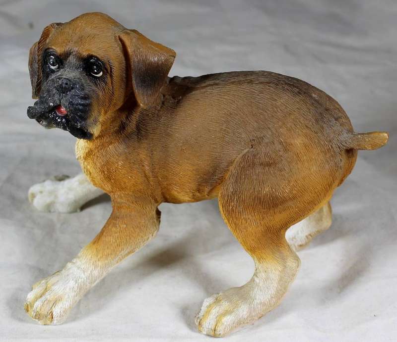 Molded boxer puppy