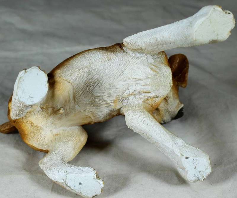 Molded boxer puppy