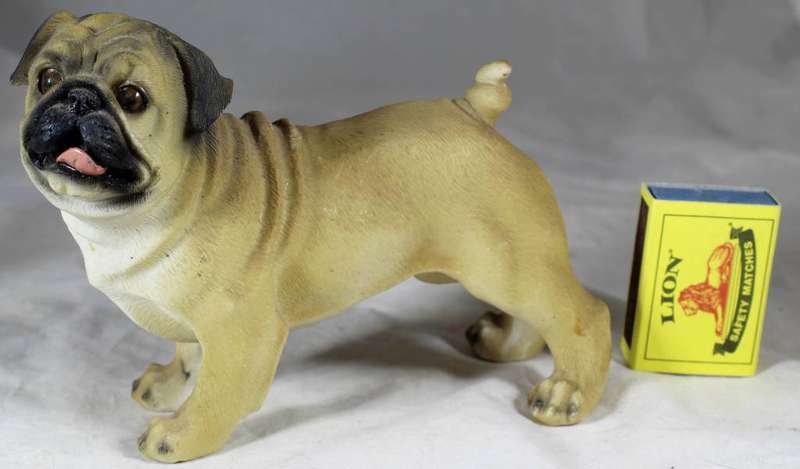 Molded Pug- Beautiful!!! BID NOW!!!!