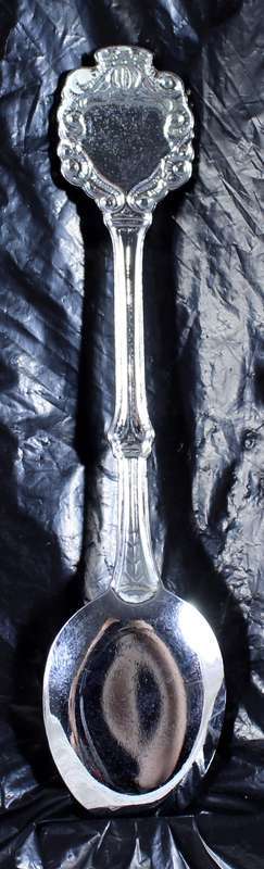 Souvenir spoon - UK  Prince Charles