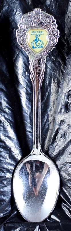 Souvenir spoon - Hibberdene