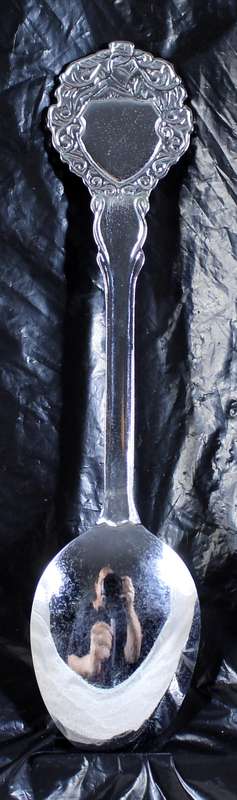 Souvenir spoon - Hibberdene