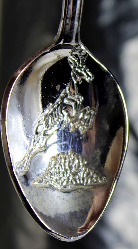 Souvenir Spoon - Pretoria with Etched Springbok