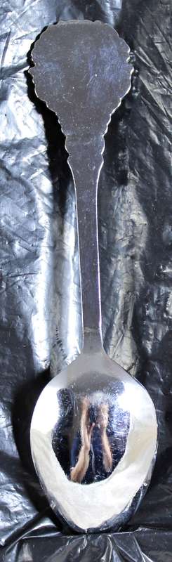Souvenir Spoon - Pretoria with Etched Springbok