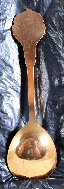 Souvenir Sugar Spoon - Copper - De Doorns