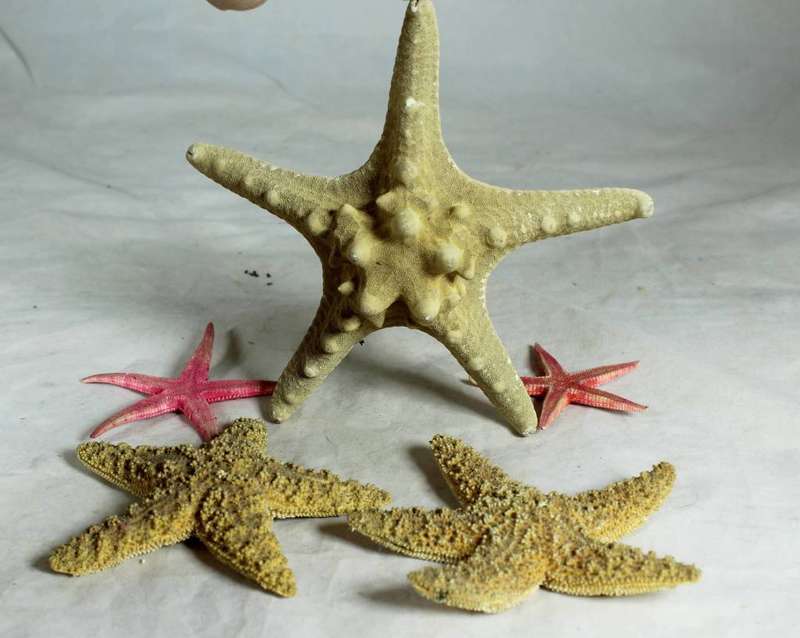 Set of five stars