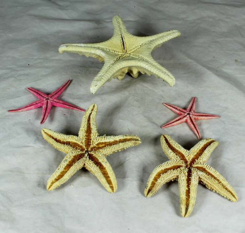 Set of five stars