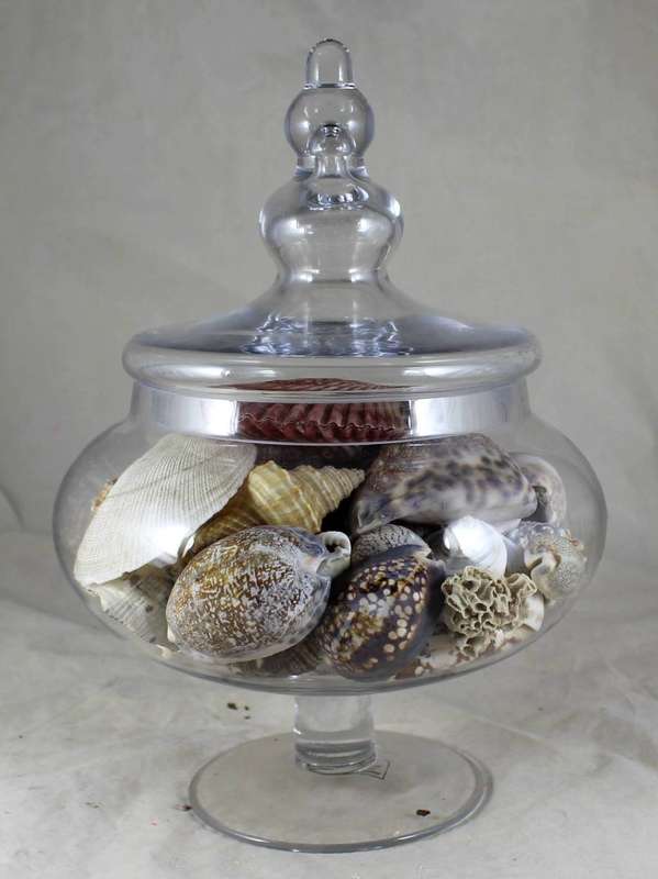 Lidded bulbous vase with shells