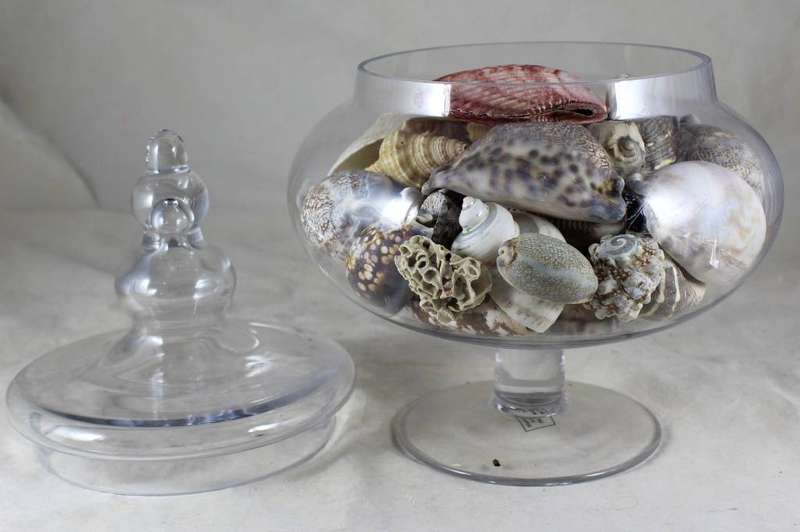Lidded bulbous vase with shells