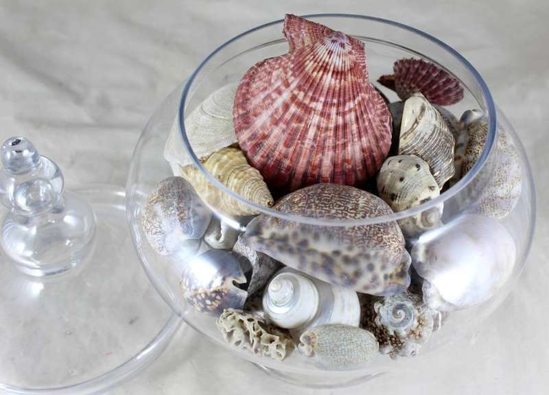 Lidded bulbous vase with shells