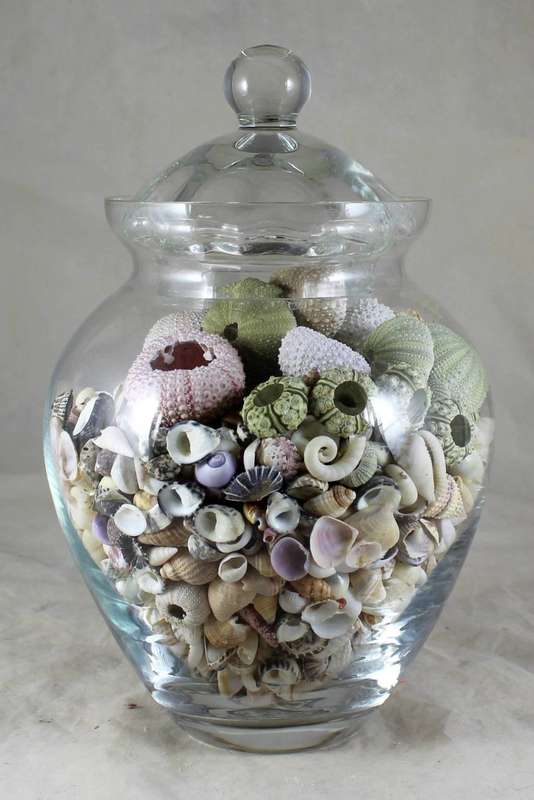 Lidded vase with shells