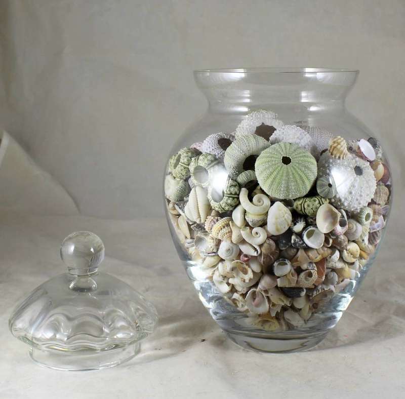 Lidded vase with shells