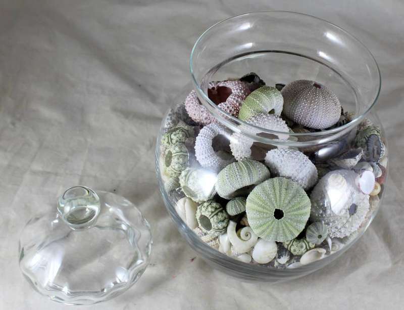 Lidded vase with shells