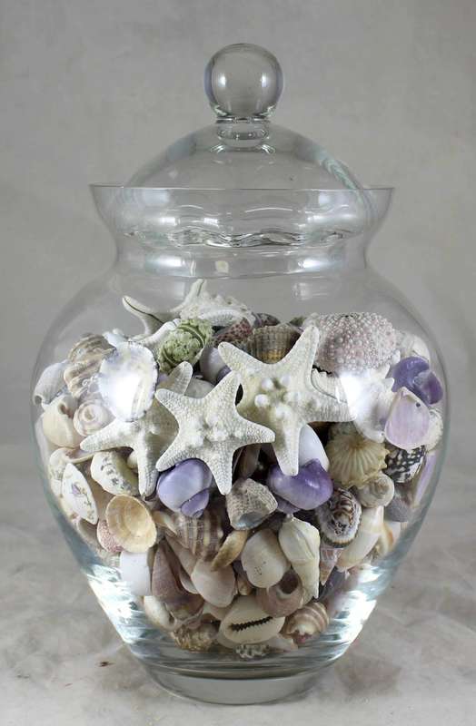 Lidded vase with shells