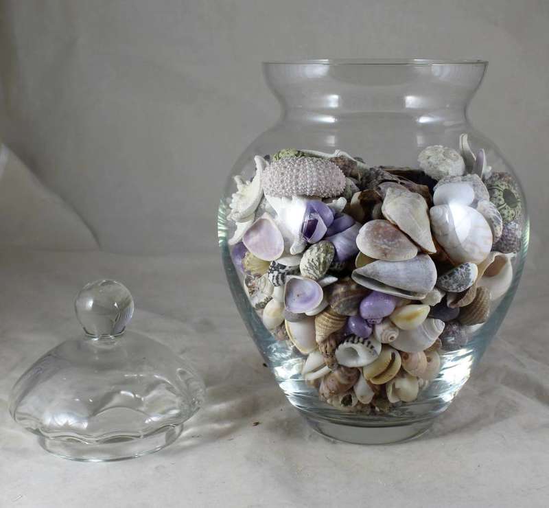 Lidded vase with shells