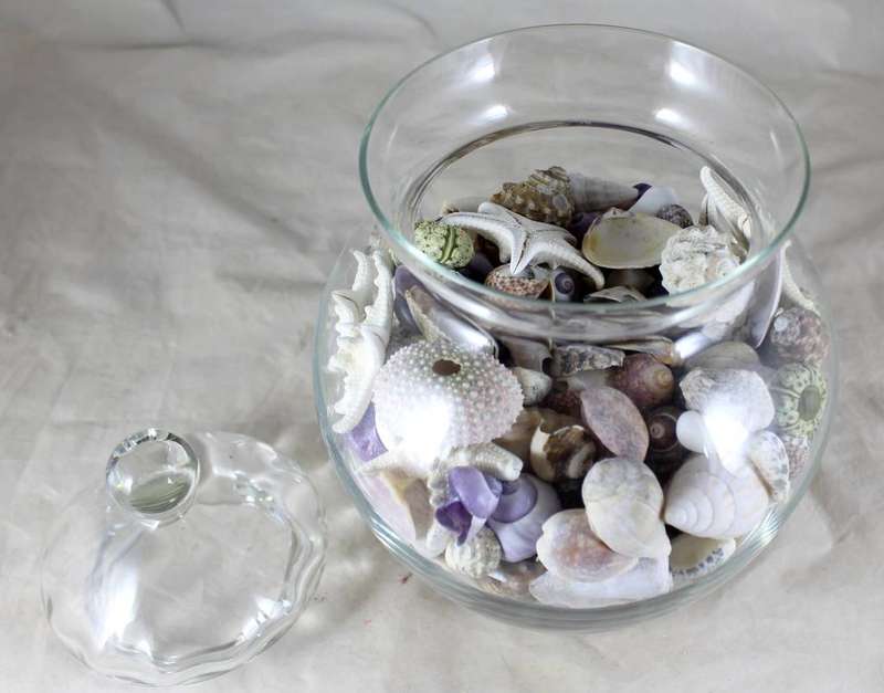 Lidded vase with shells